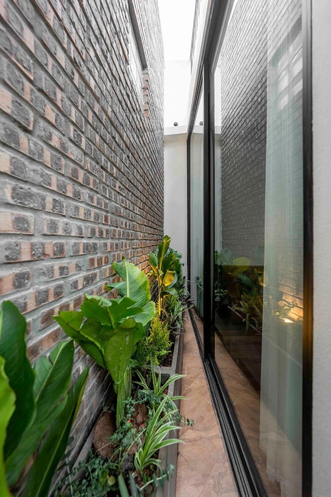 10 Ide Taman Samping Rumah yang Asri, Minimalis, dan Fungsional