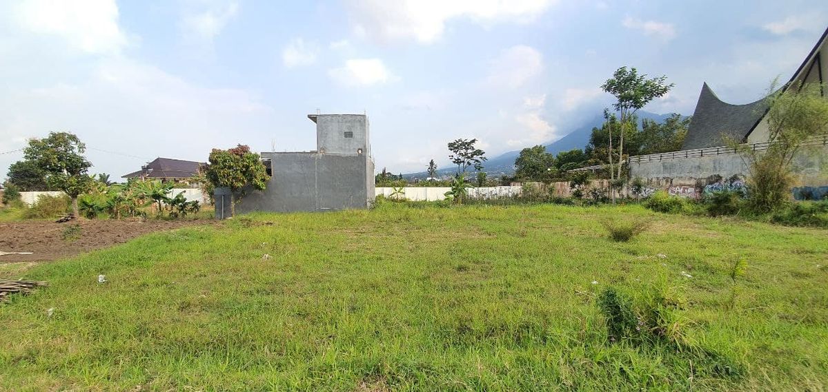 Tanah Telantar Bisa Diambil Negara? Ini Penjelasannya
