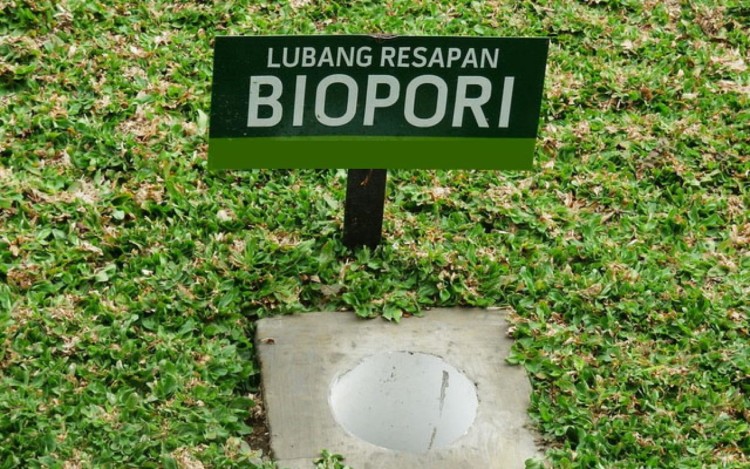 Takut Rumah Kebanjiran? Yuk Kenalan Sama Biopori dan Apa Fungsinya di Rumah Anda!