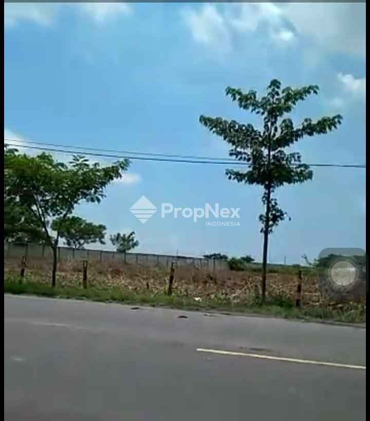 Tanah Industri Widang Tuban Strategis 4 Ha Siap Bangun