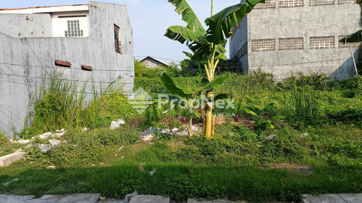 Tanah di Bulak Kalitinjang