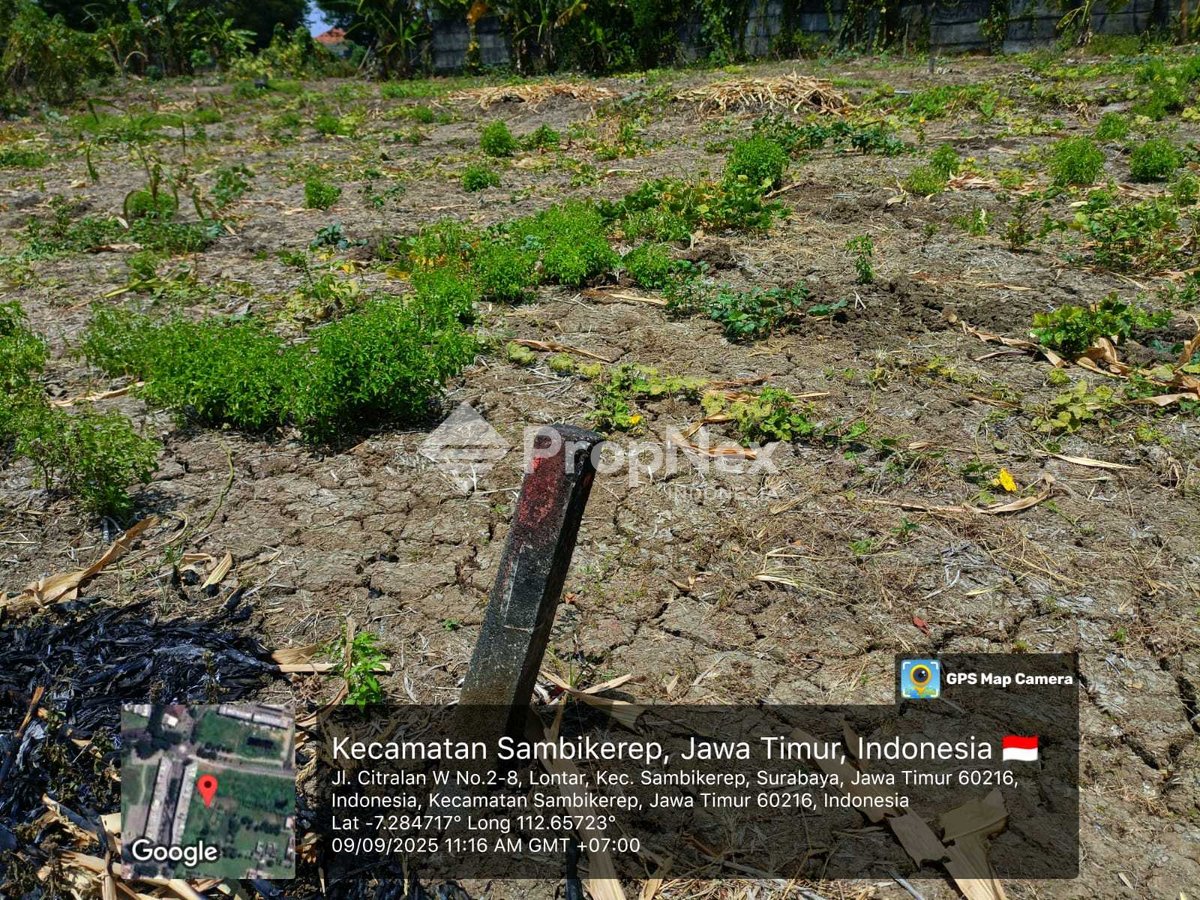 Tanah nempel Citraland Surabaya — foto 2