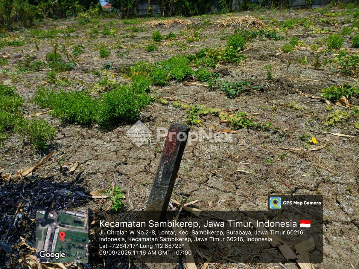 Tanah nempel Citraland Surabaya — foto 4