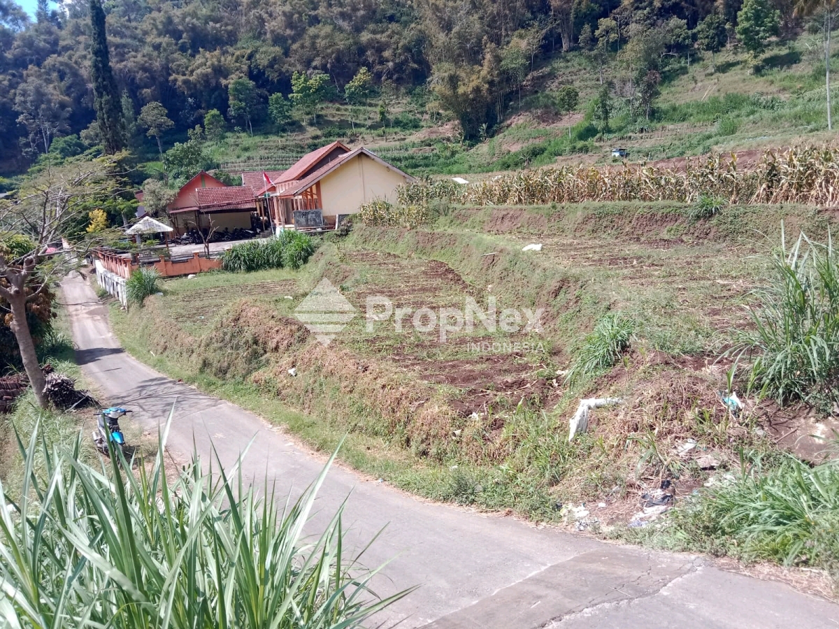 Tanah di Dusun Brau, Gunungsari, Bumiaji, Batu