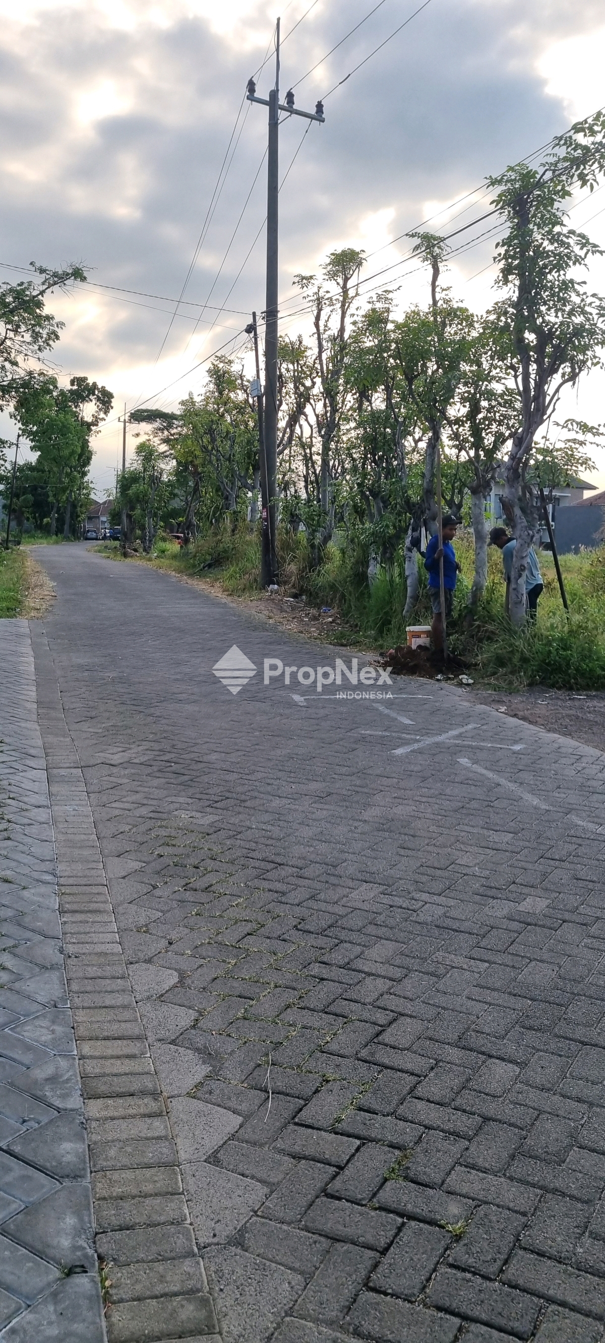 Dijual Murah Kavling Tanah Taman Dayu Prigen Sebrang Warung Bakso Cak Pitung — foto 2