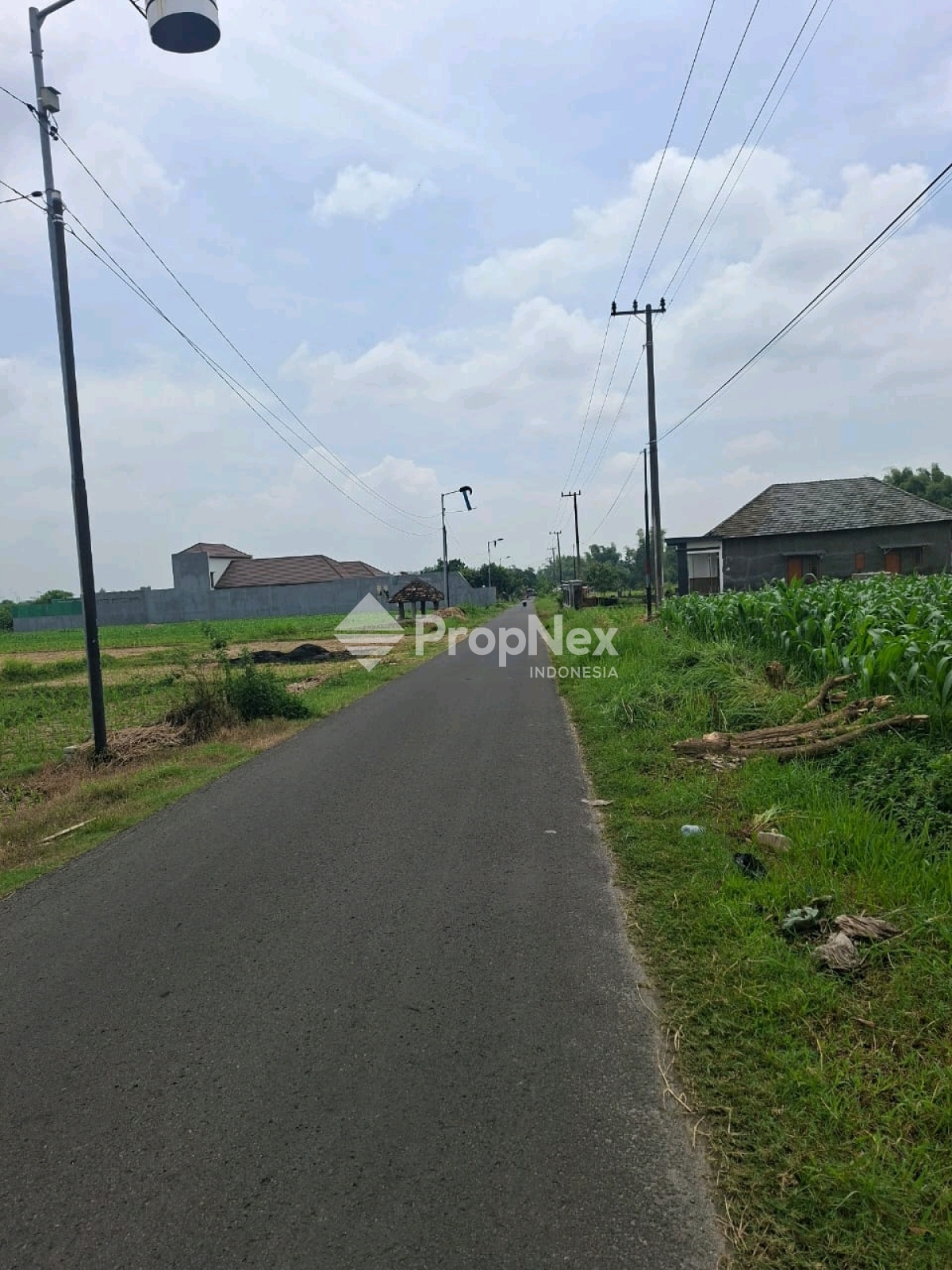 Tanah Dlanggu Mojokerto Lokasi Stategis Selangkah Dari Jalan Provinsi