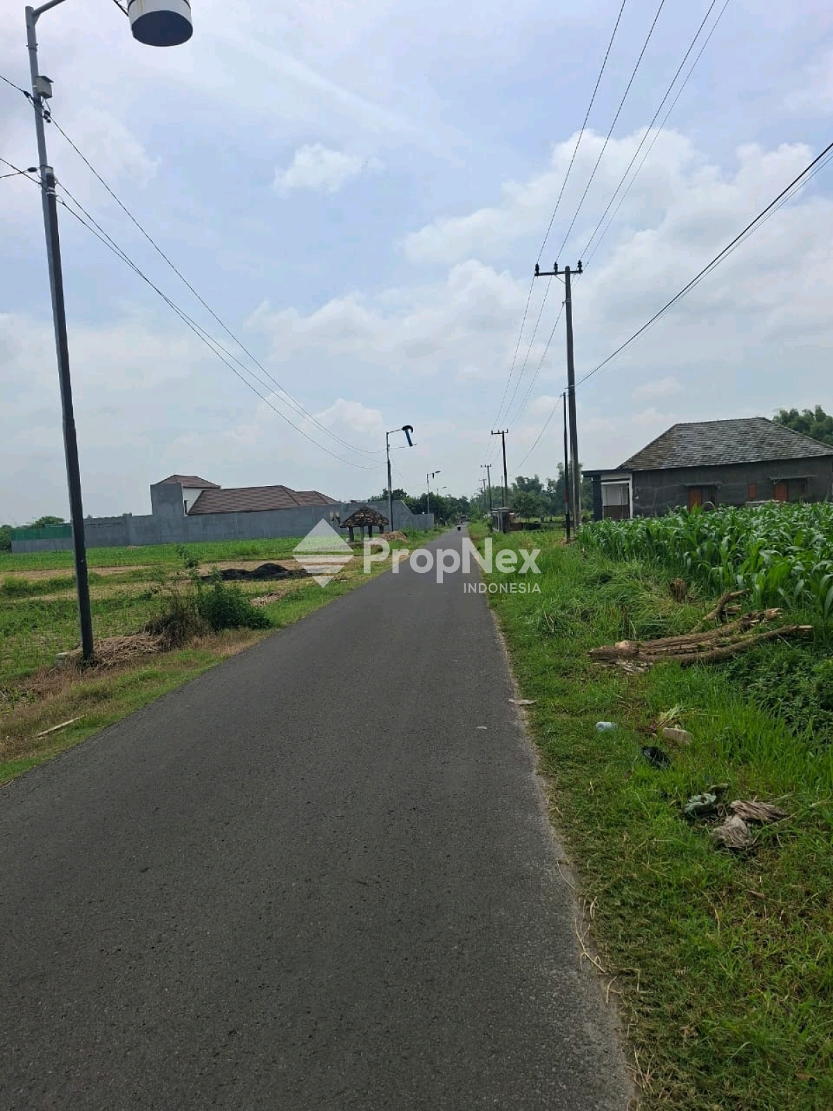 Tanah Dlanggu Mojokerto Lokasi Stategis Selangkah Dari Jalan Provinsi — foto 2