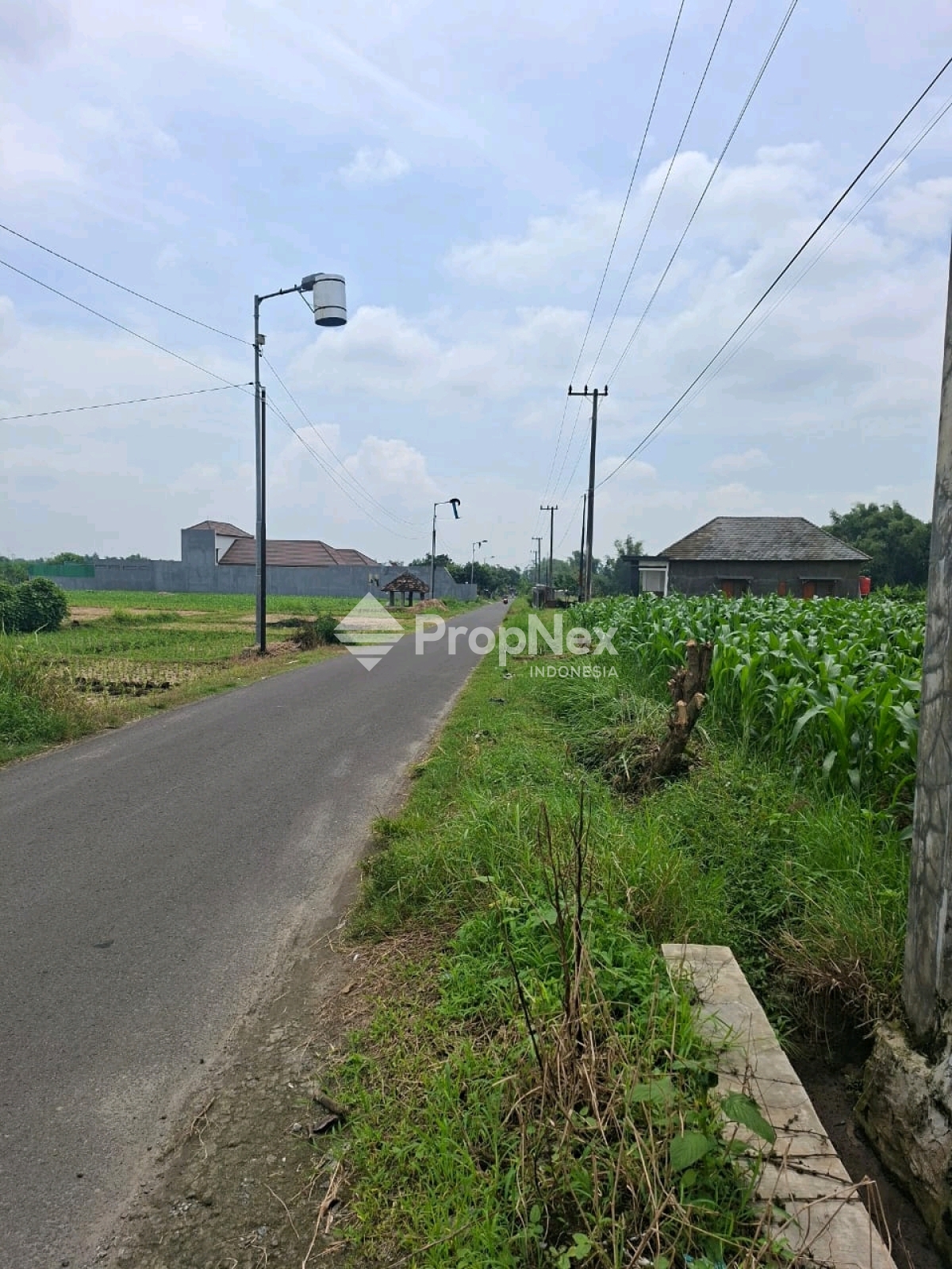 Tanah Dlanggu Mojokerto Lokasi Stategis Selangkah Dari Jalan Provinsi — foto 3