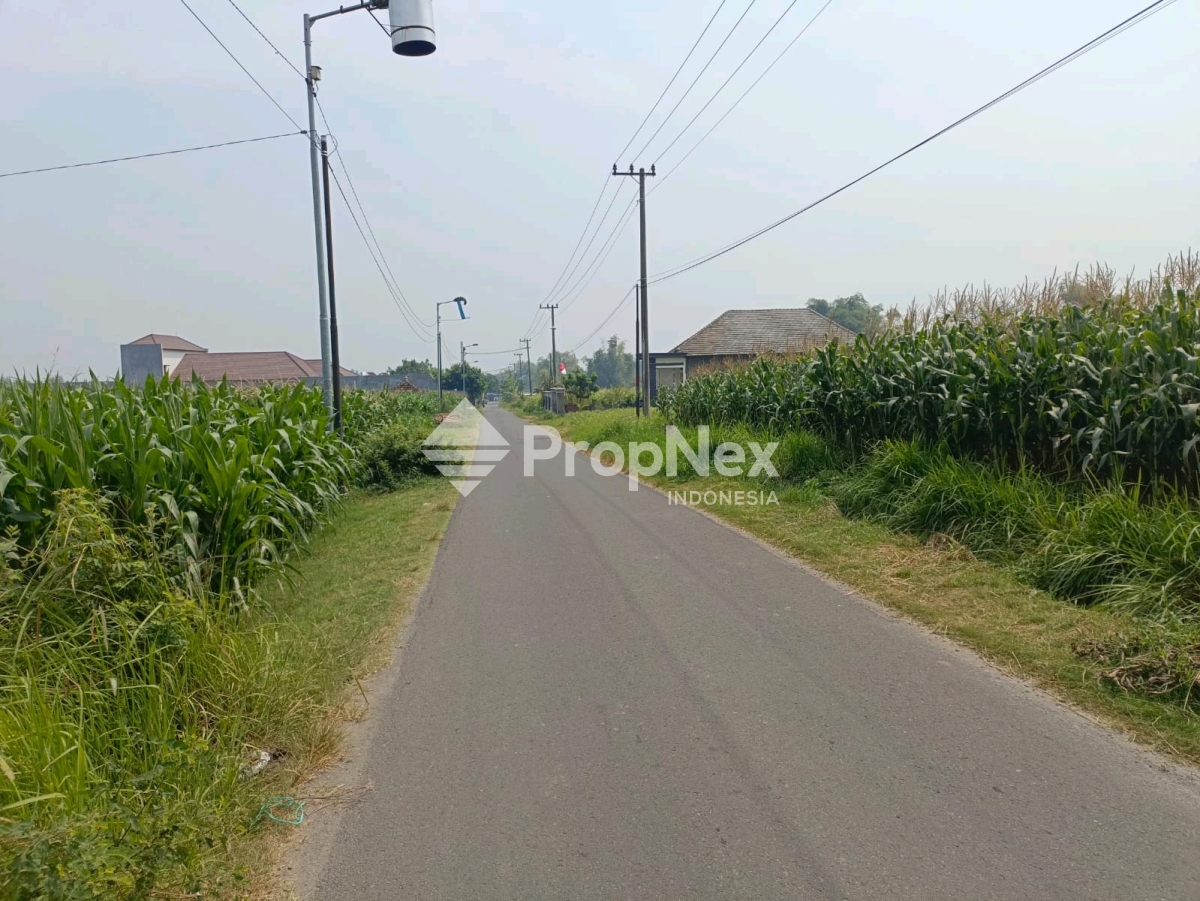 Tanah Dlanggu Mojokerto Lokasi Stategis Selangkah Dari Jalan Provinsi — foto 6