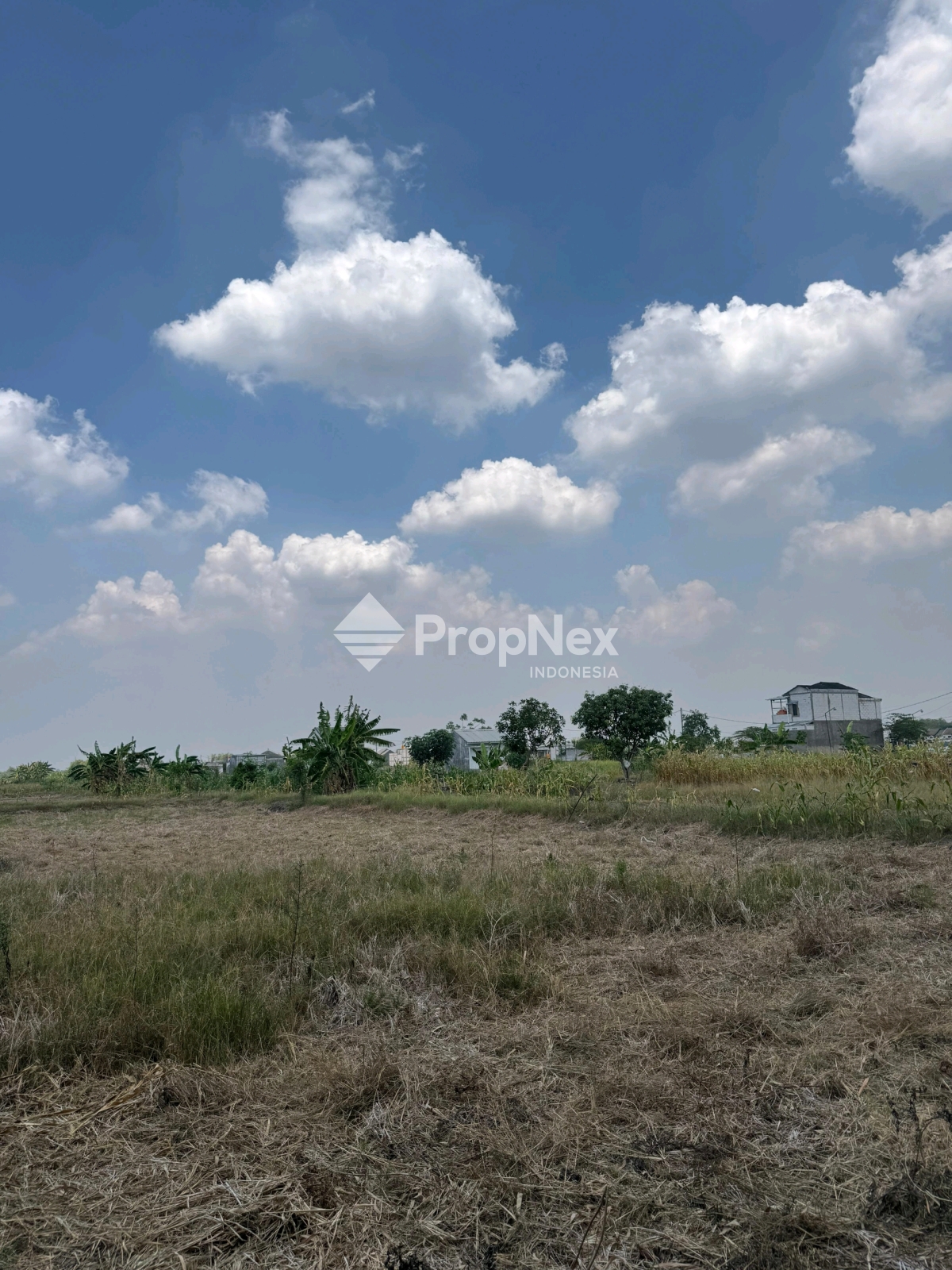 peranti — foto 3