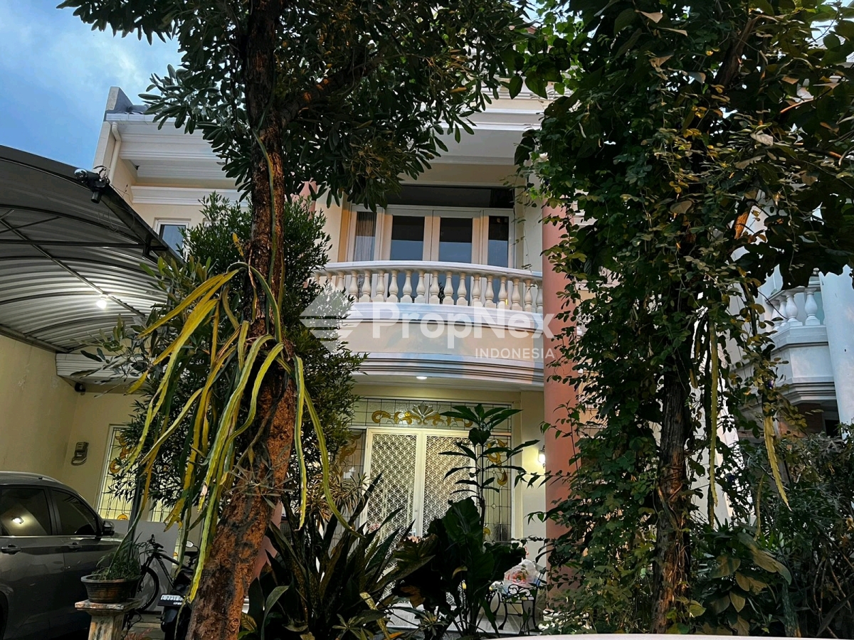 WBM 1 ALEXANDRIA