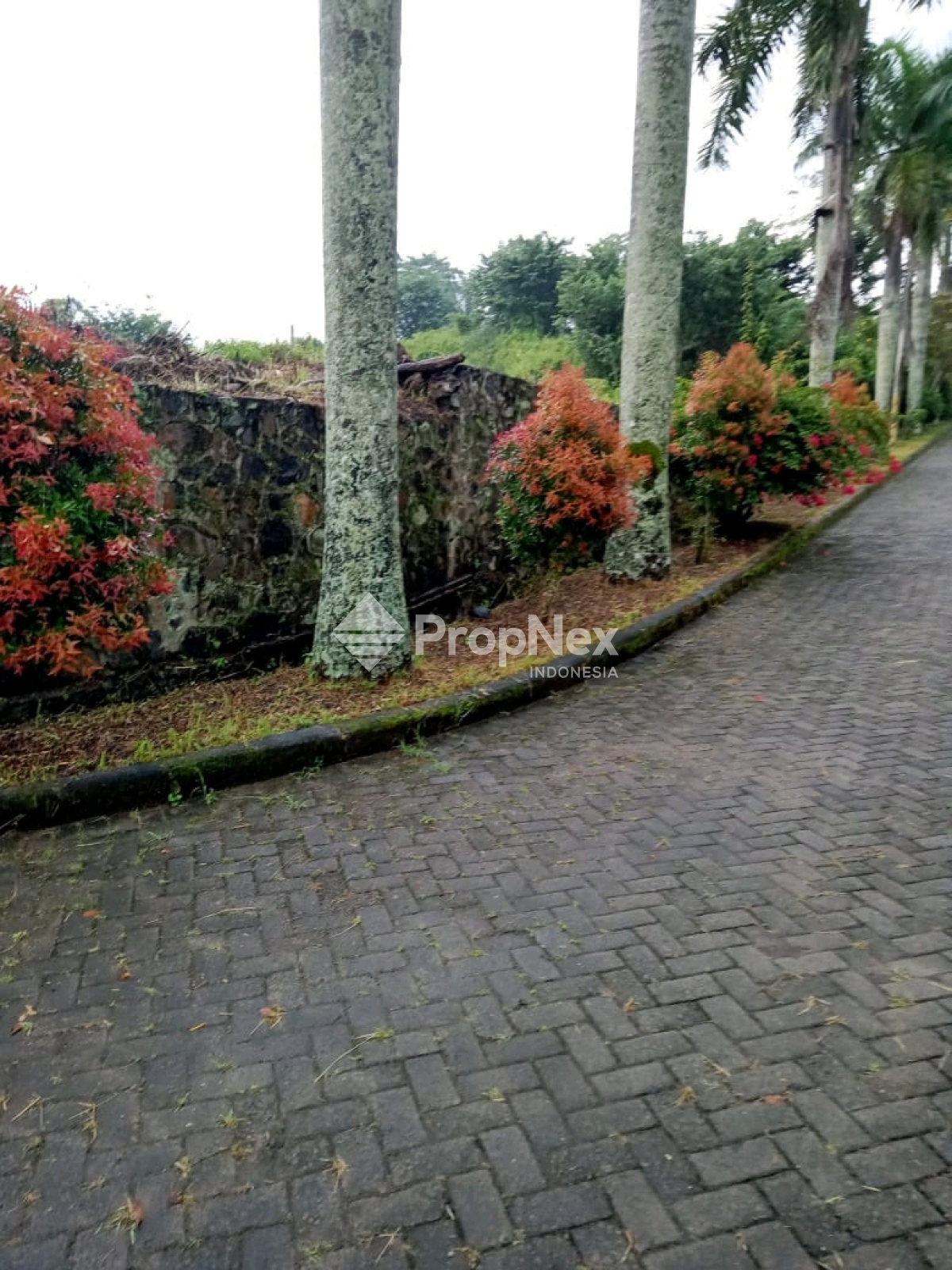 tanah siap bangun sebelah citra garden ciputra harga masih nego