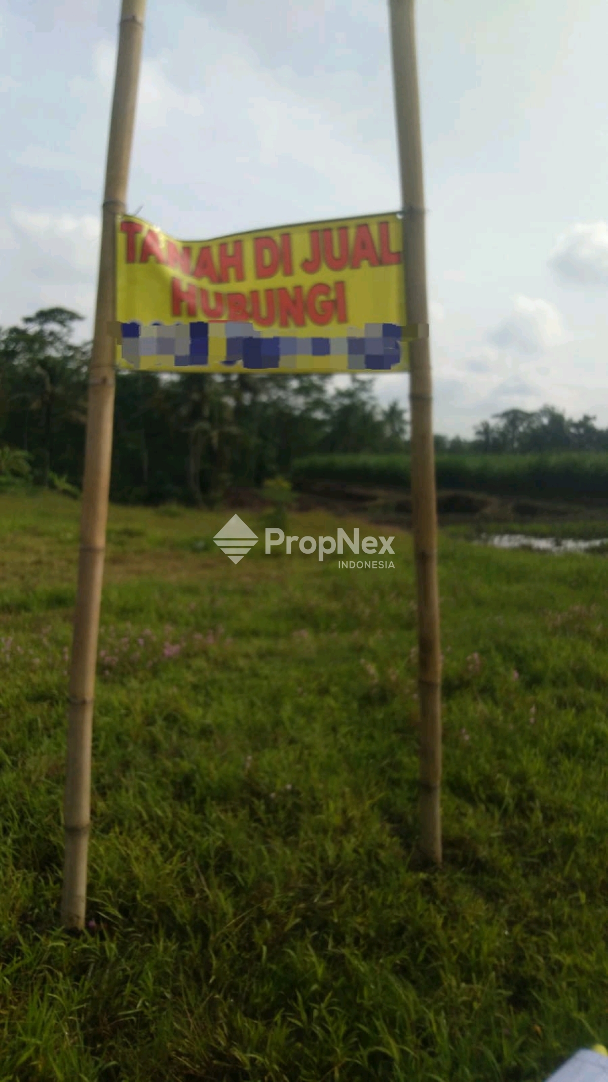 Tanah di Wagir Malang — foto 2