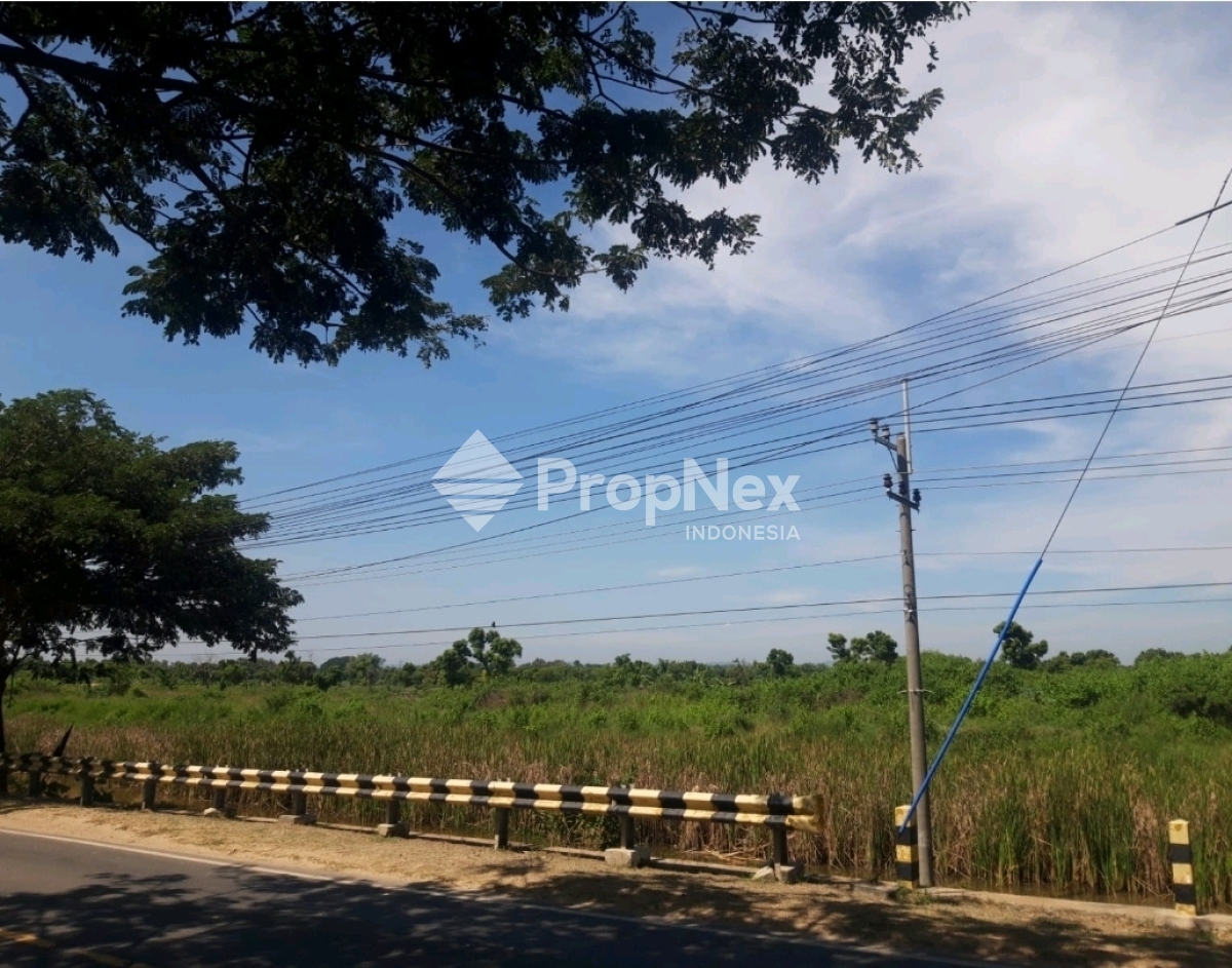 Tanah Dijual 9 Ha Kawasan Industri Tuban Jatim Strategis — foto 2
