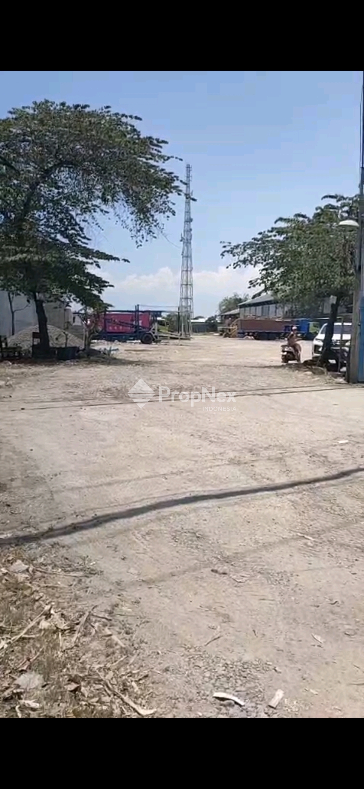 BERINGIN BENDO - KRIAN — foto 2