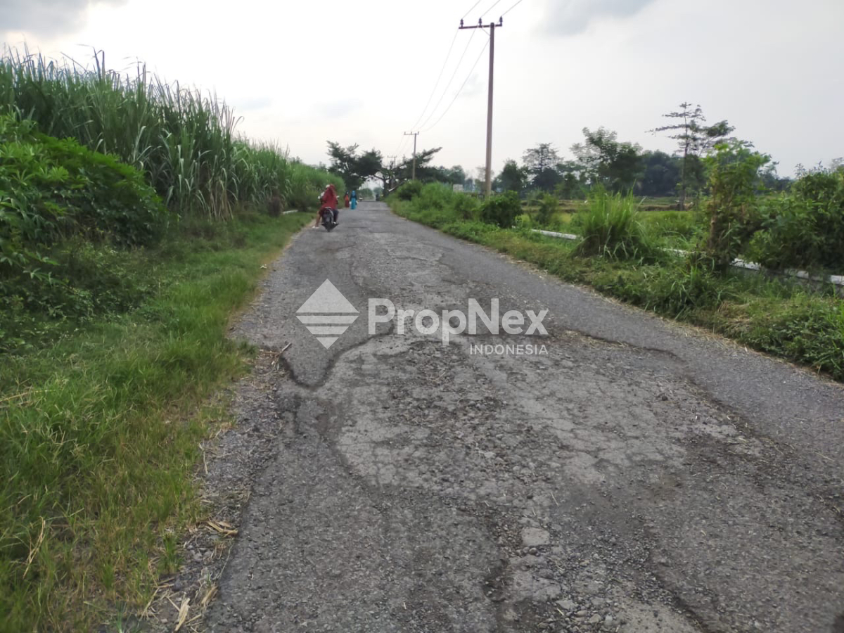 Tanah Krangkeng Wetan Dukuhsari Sukorejo Pasuruan — foto 2
