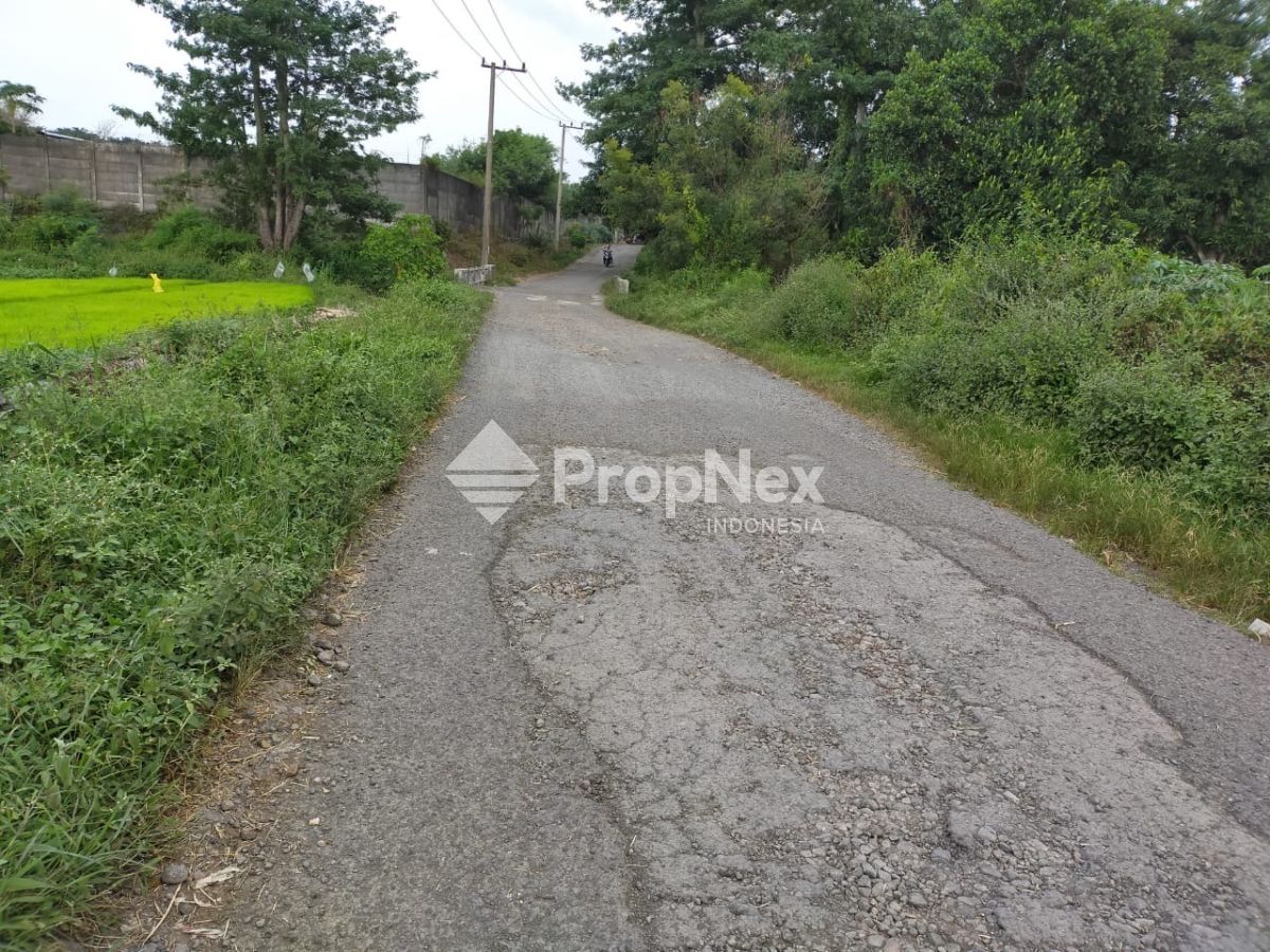 Tanah Krangkeng Wetan Dukuhsari Sukorejo Pasuruan — foto 3