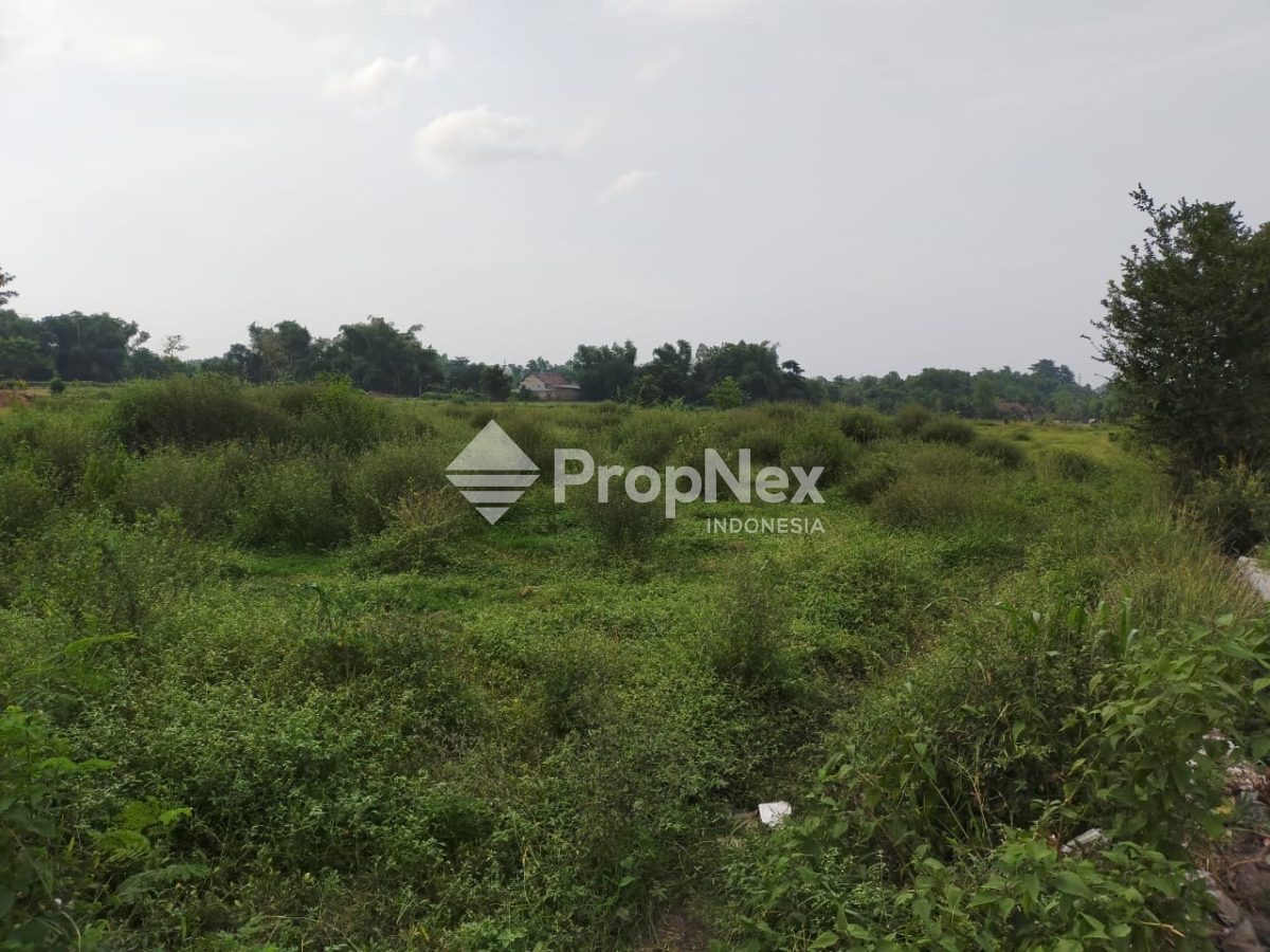 Tanah Krangkeng Wetan Dukuhsari Sukorejo Pasuruan — foto 4