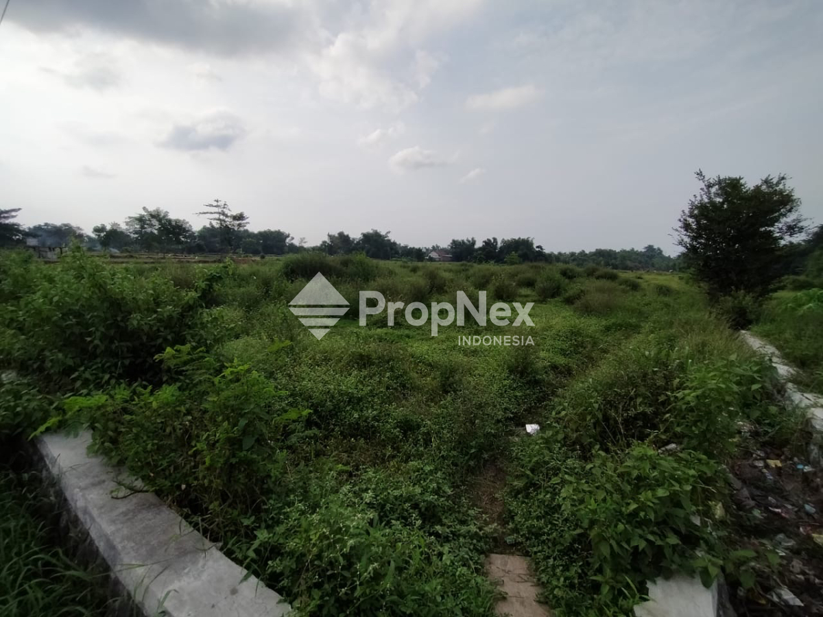 Tanah Krangkeng Wetan Dukuhsari Sukorejo Pasuruan — foto 5