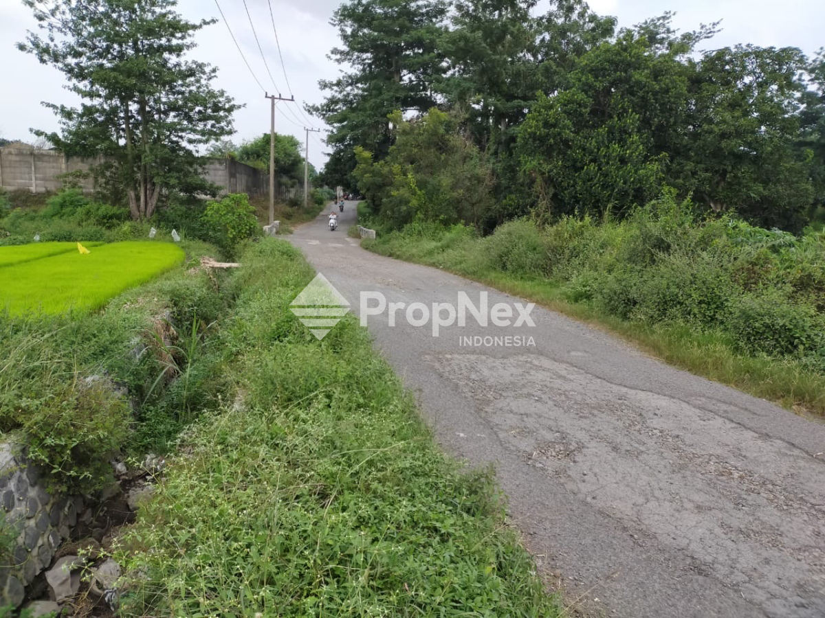 Tanah Krangkeng Wetan Dukuhsari Sukorejo Pasuruan — foto 6