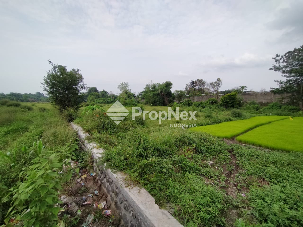 Tanah Krangkeng Wetan Dukuhsari Sukorejo Pasuruan — foto 7