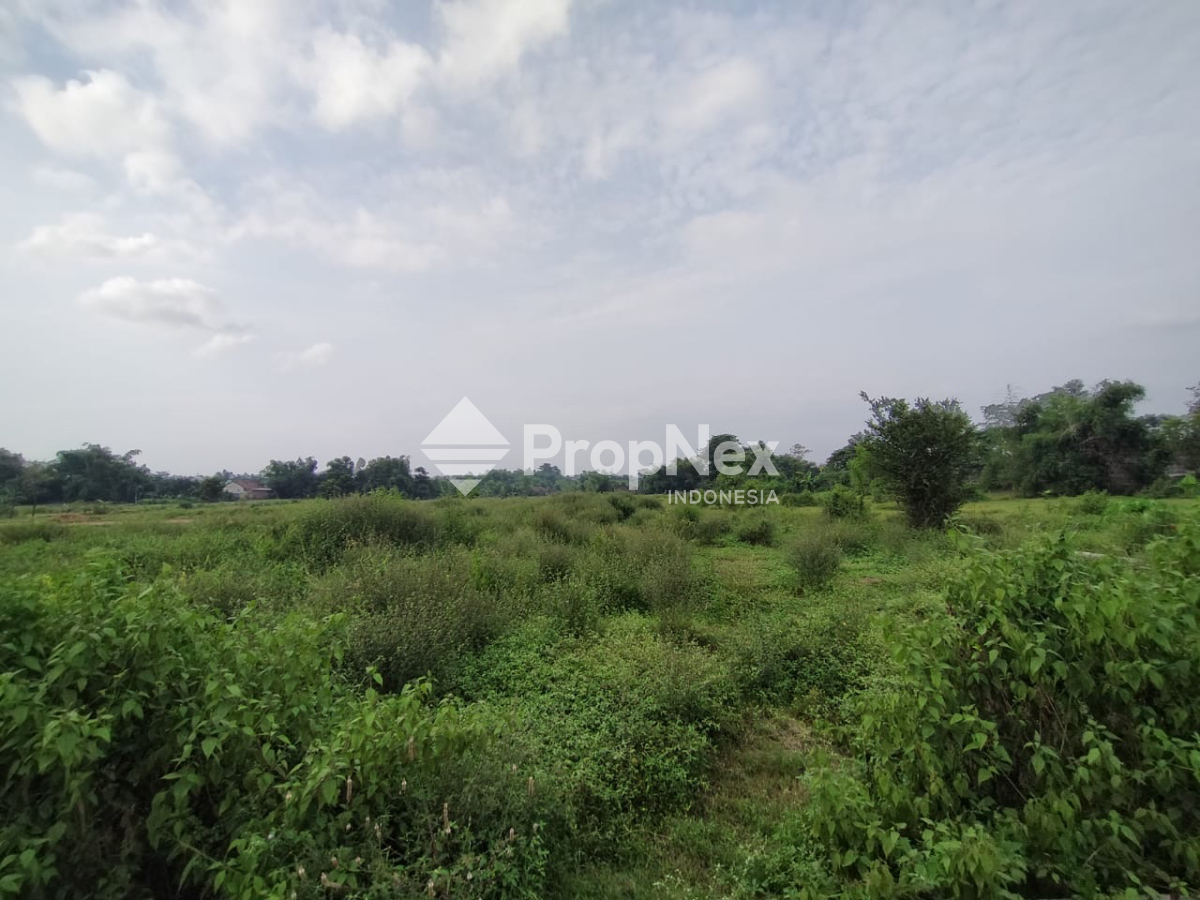 Tanah Krangkeng Wetan Dukuhsari Sukorejo Pasuruan — foto 8
