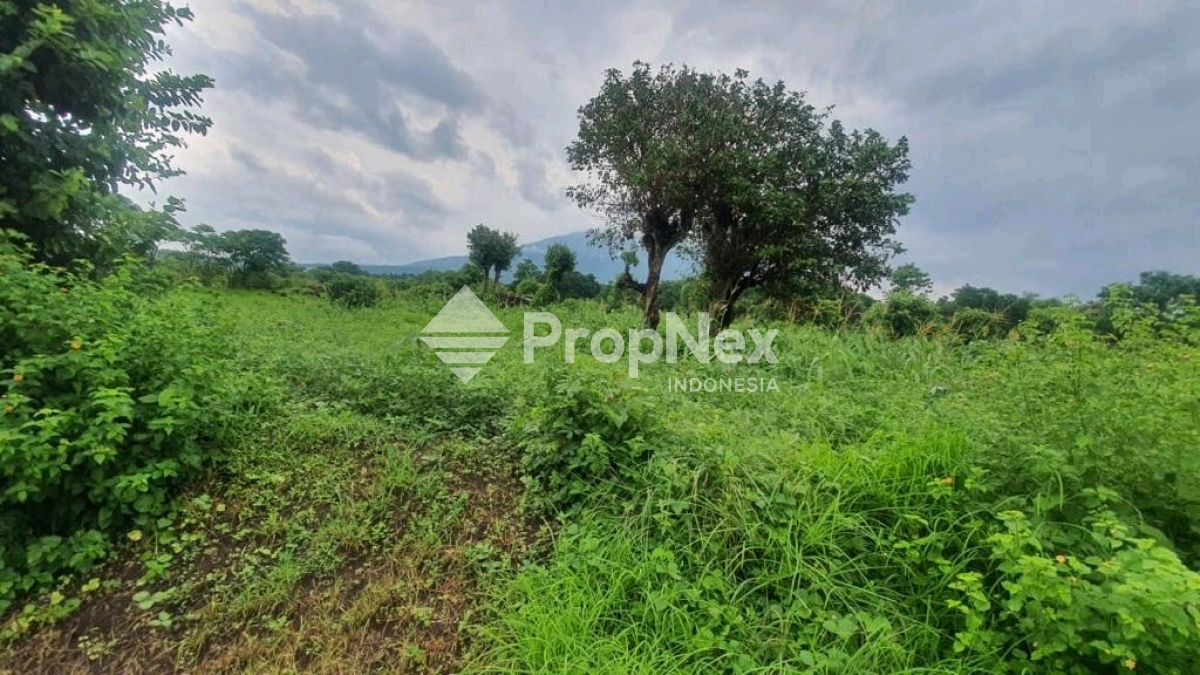 DIJUAL TANAH TULAMBEN KARANGASEM BALI