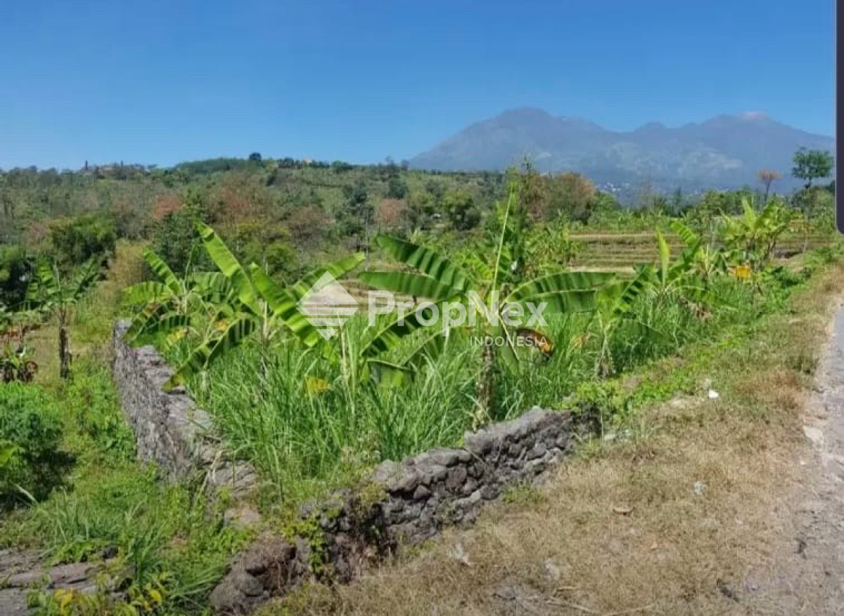 Tanah Prigen Pasuruan