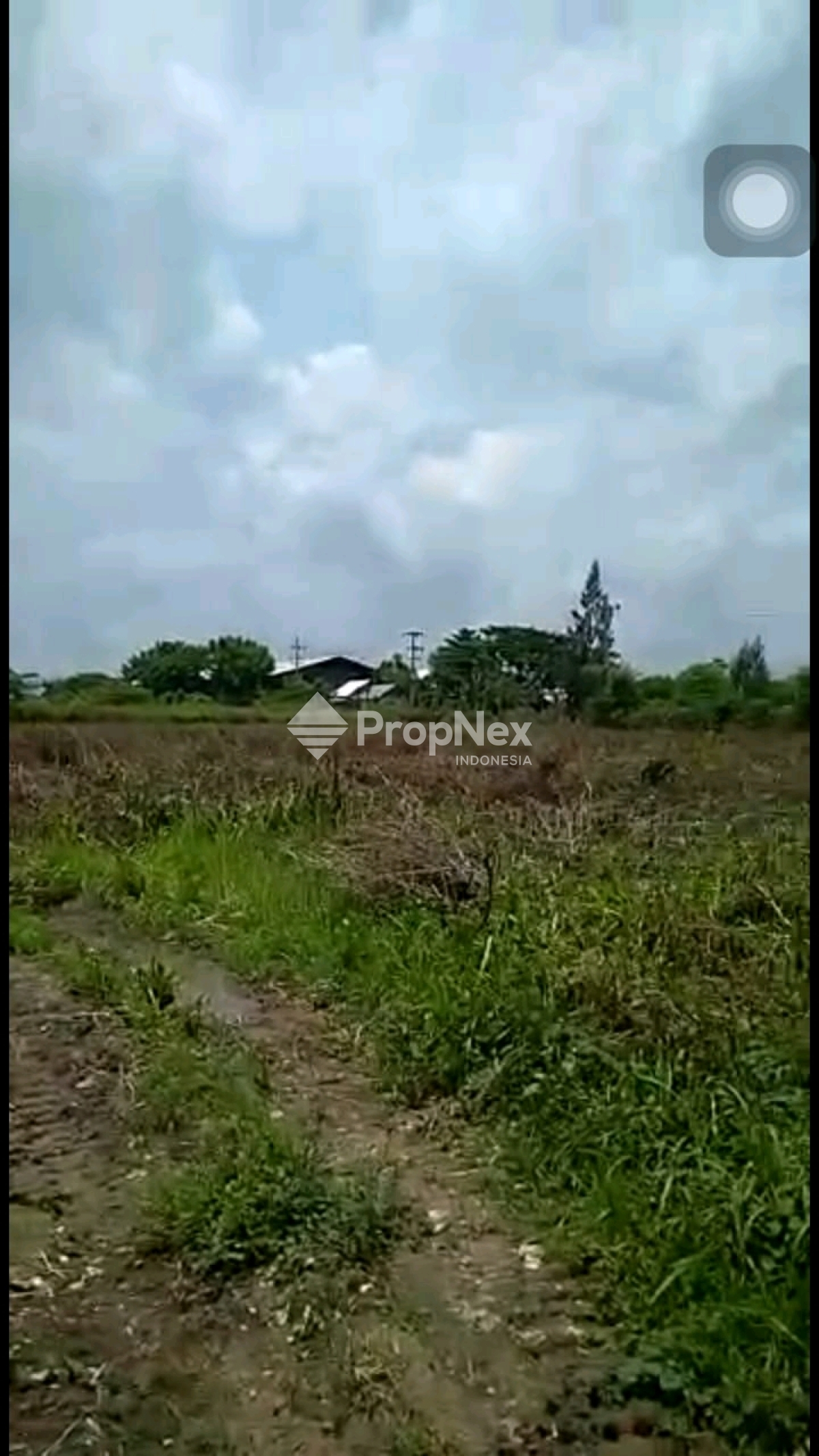 Investasi Emas: Tanah Industri 4 Ha di Widang Tuban Strategis — foto 2