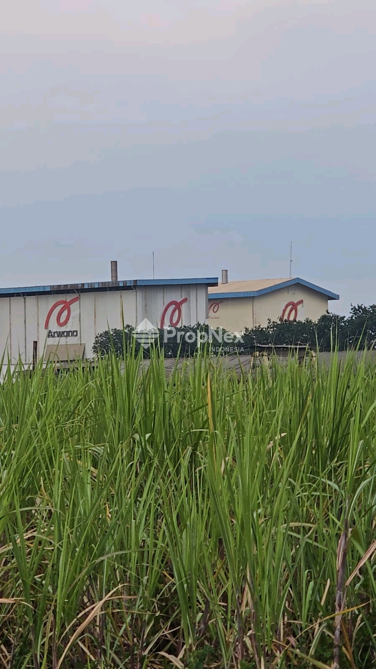 DIJUAL TANAH / LAHAN