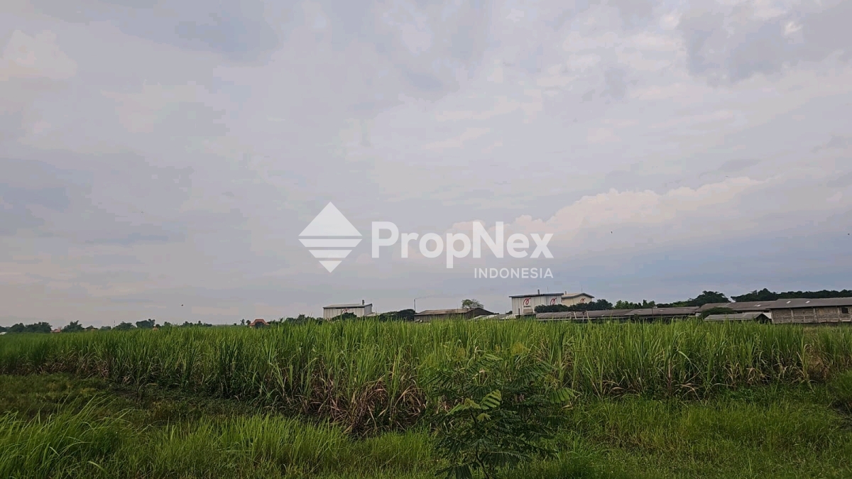 DIJUAL TANAH / LAHAN — foto 2