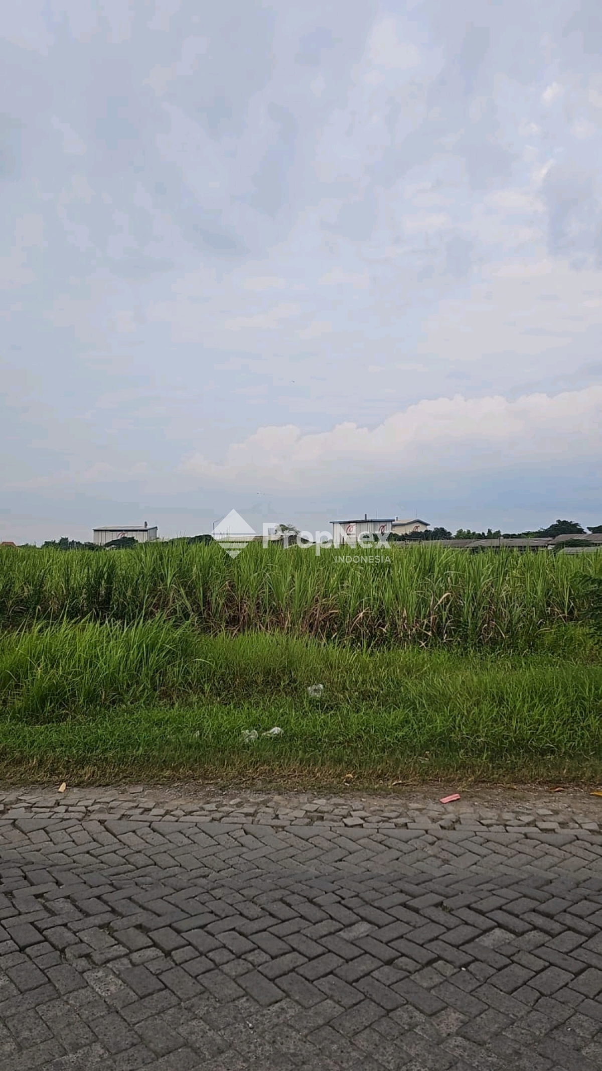 DIJUAL TANAH / LAHAN — foto 3