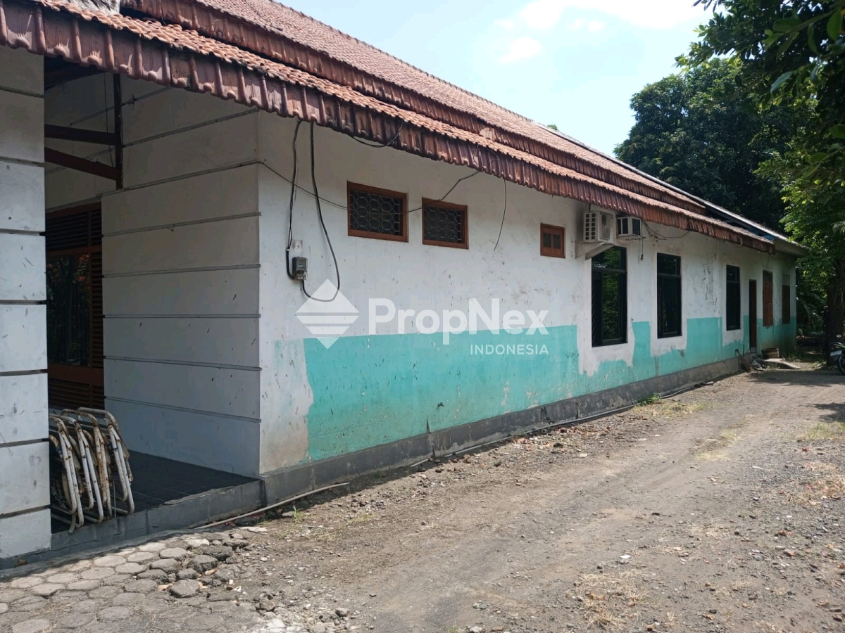 nol jalan kraksaan probolinggo — foto 2