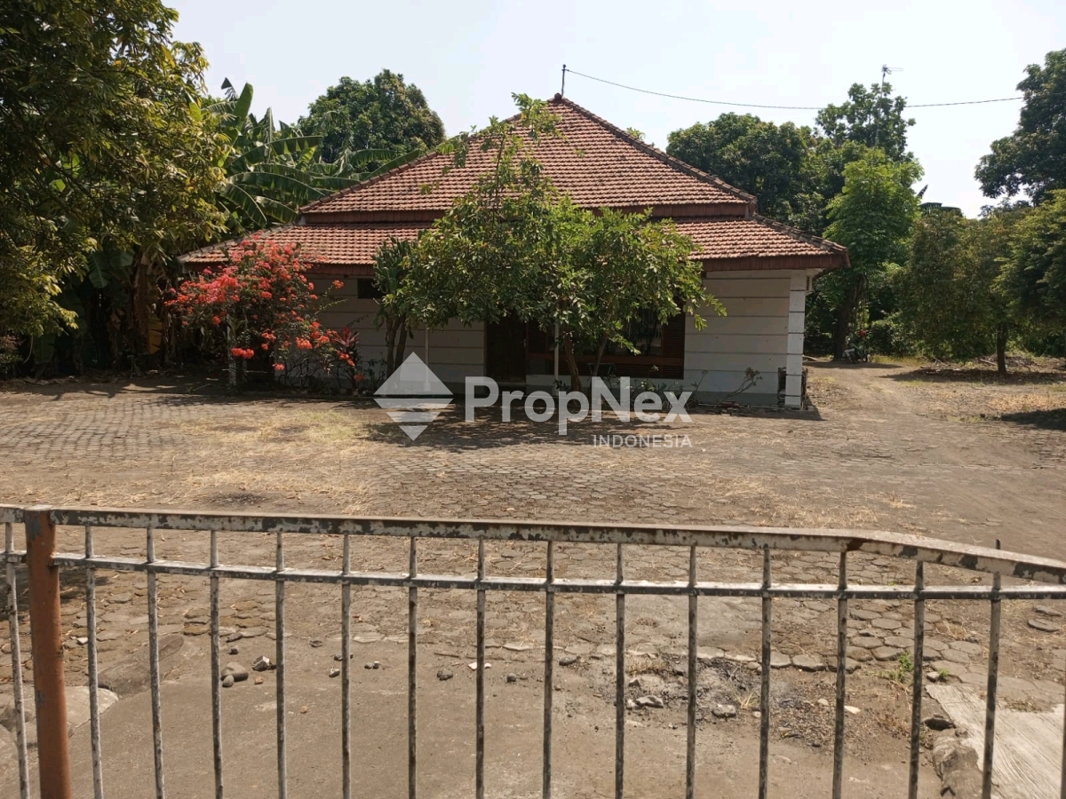 nol jalan kraksaan probolinggo — foto 3
