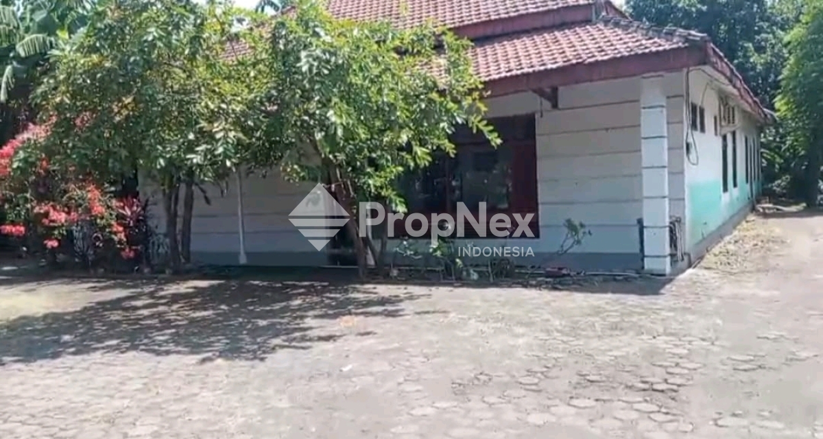 nol jalan kraksaan probolinggo — foto 4