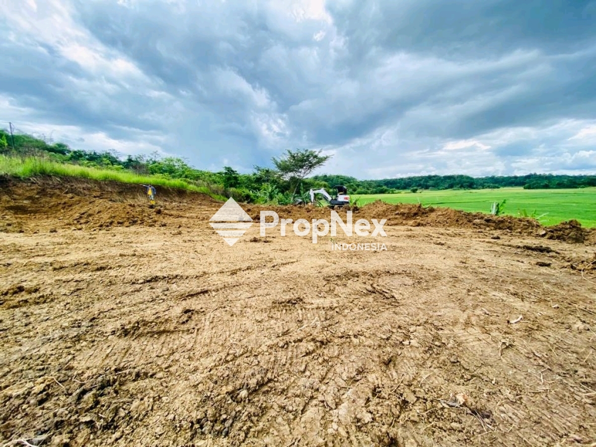 Dijual ! Tanah Luas Strategis di Serang Banten
