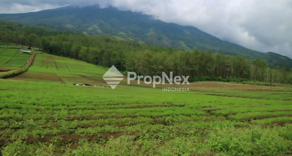 Tanah Luas di Batu Pemandangan Pegunungan