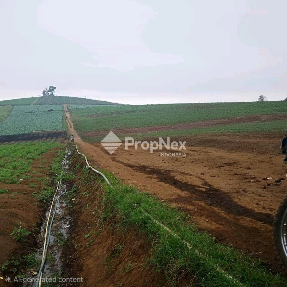 Tanah Luas di Batu Pemandangan Pegunungan — foto 4