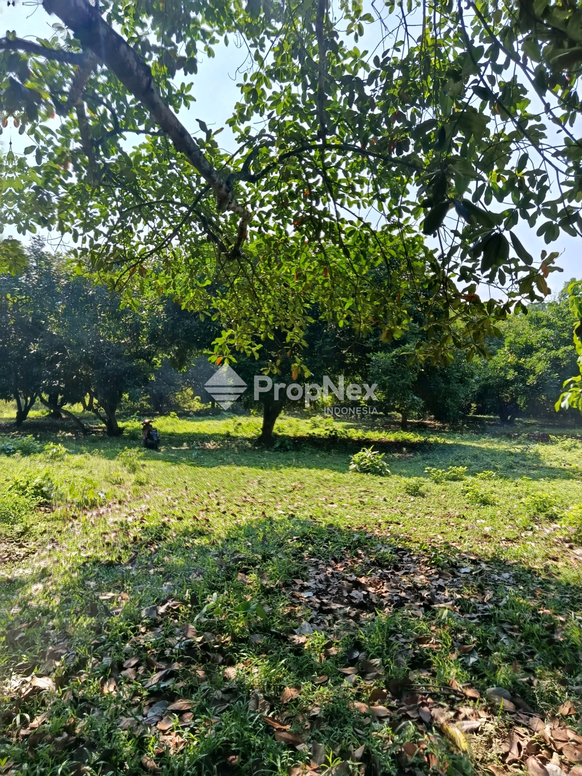 Tanah Luas 10000m2 Panongan Citra Raya Tangerang