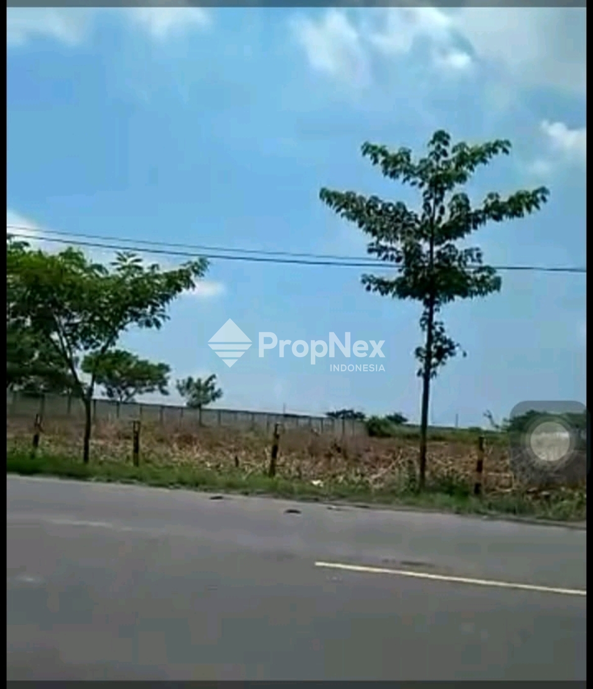 Tanah Strategis Luas Dekat Akses Jalan Raya Widang-Tuban — foto 3