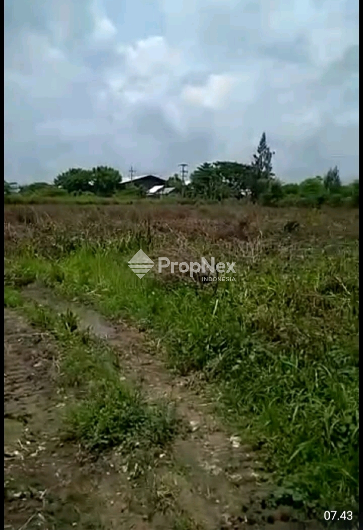 Tanah Strategis Luas Dekat Akses Jalan Raya Widang-Tuban — foto 5