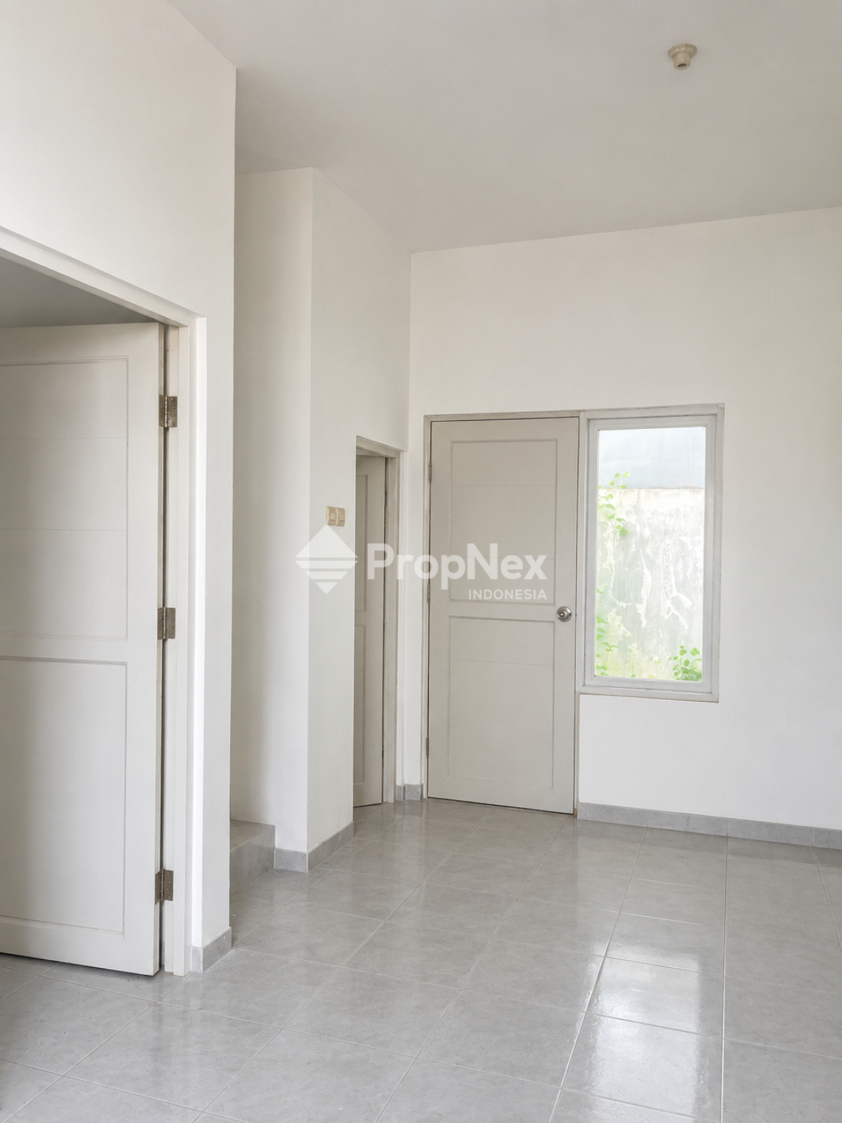 green mansion — foto 5