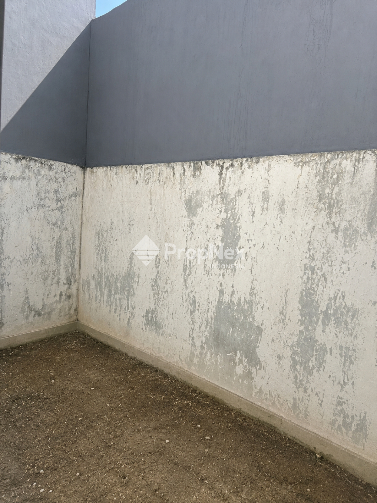 green mansion — foto 6