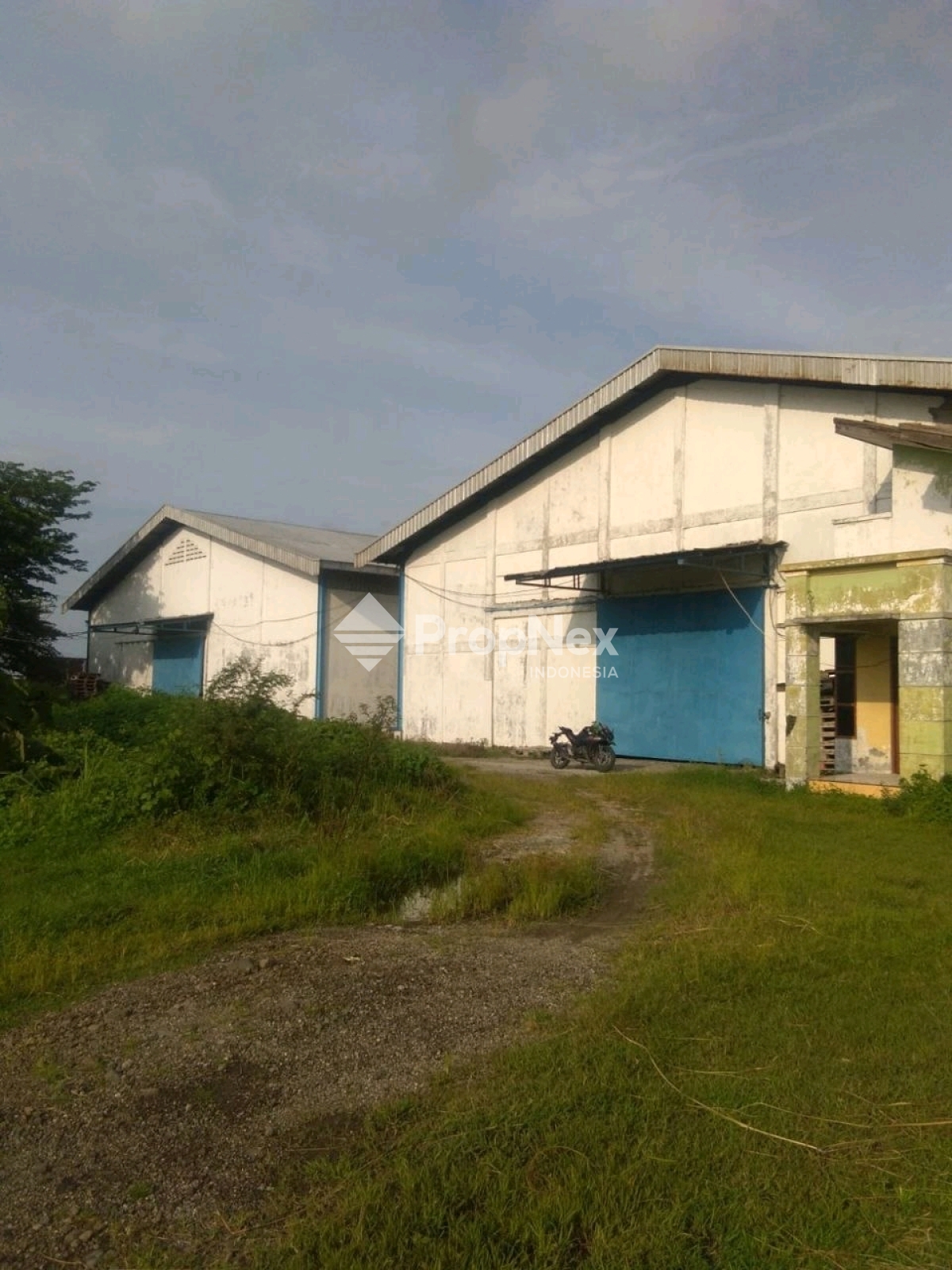 BALONG PANGGANG