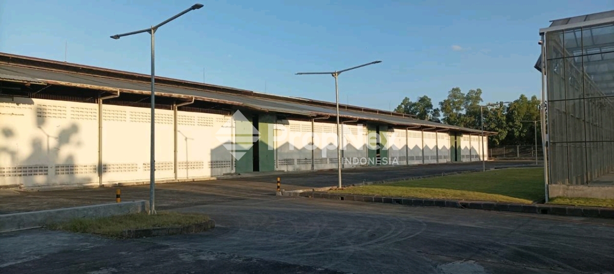 Gudang Dan Tanah Besar Area Industri Wonosari Gunung Kidul Yogyakarta — foto 6