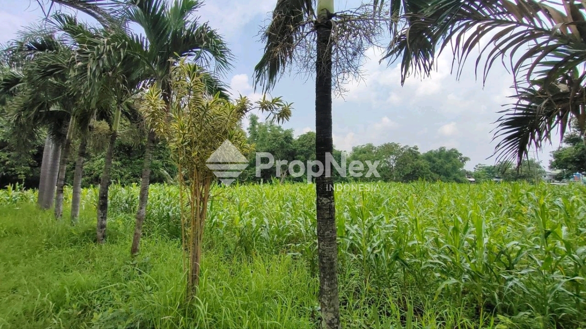 RAYA PURWOSARI