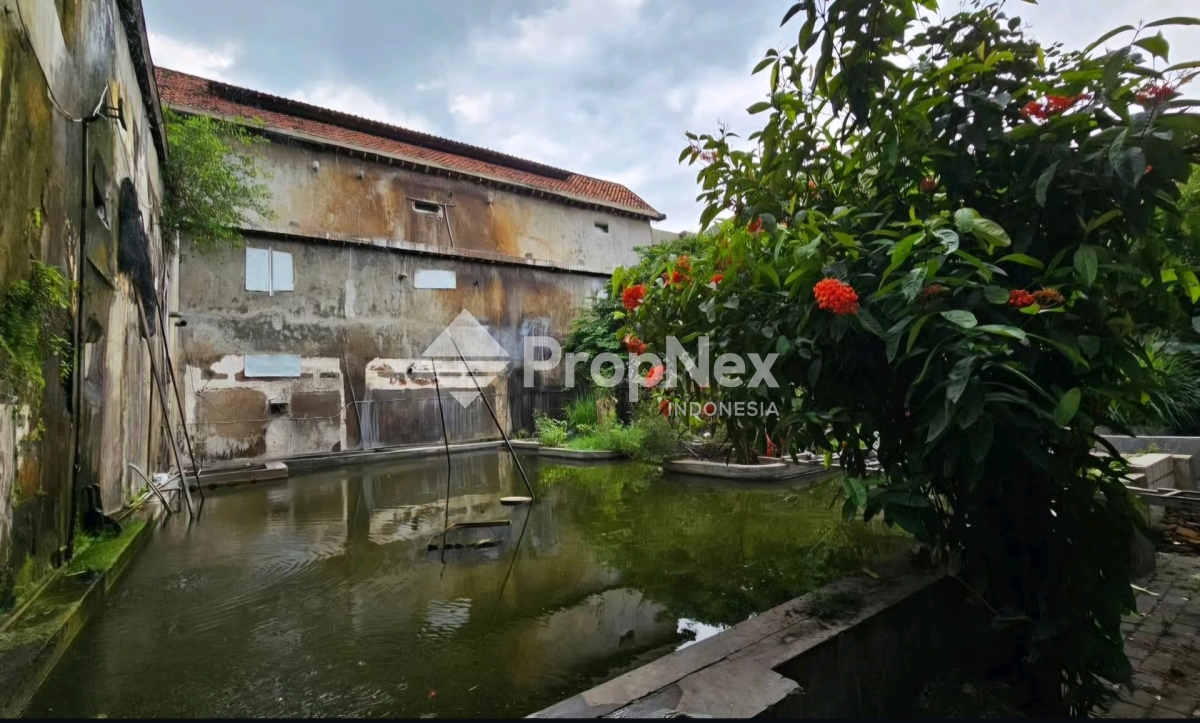 MURAHH BANGET!!! Hitung Tanah Komersial 0 jalan raya gempol pasuruan — foto 5