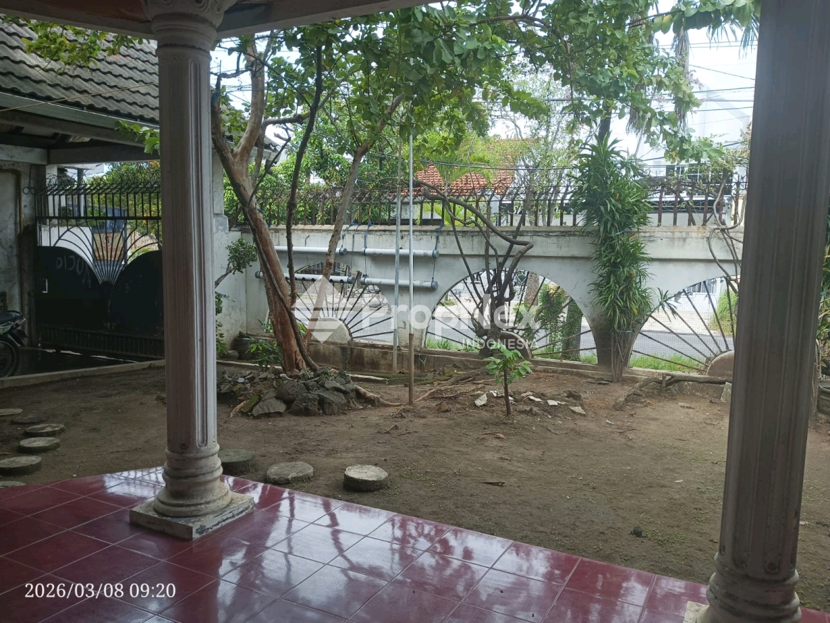 pucang jajar — foto 5