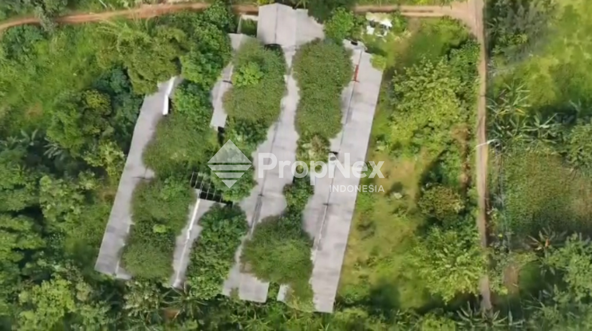 Pertenakan Dayurejo Prigen, Pasuruan bisa Nego — foto 2