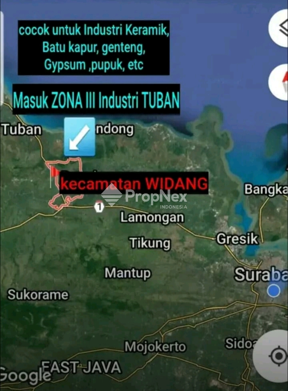 Dijual Tanah SHM 4 Hektar di Tuban, Lokasi Strategis Widang